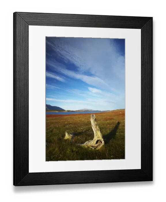 Framed Print : Argentina, Patagonia, Los Glaciares National Park. A decaying tree near the shoreline of Lake Roca Framed Print : Argentina, Patagonia, Los Glaciares National Park. A decaying tree near the shoreline of Lake Roca