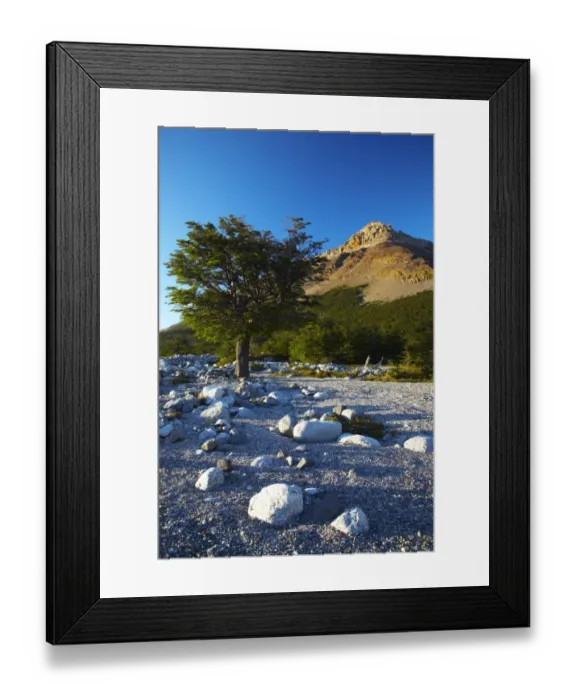 Framed Print : Argentina, Patagonia, Los Glaciares National Park. Early morning scene of a dry riverbed by the Poincenot campsite, below the Fitz Framed Print : Argentina, Patagonia, Los Glaciares National Park. Early morning scene of a dry riverbed by the Poincenot campsite, below the Fitz