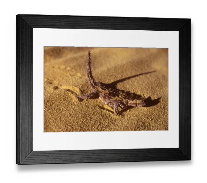 Framed Print : AUSTRALIA, Western Australia, Kalbarri National Park Framed Print : AUSTRALIA, Western Australia, Kalbarri National Park