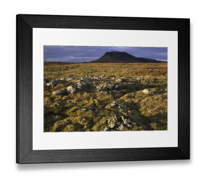 Framed Print : ENGLAND, Yorkshire, Yorkshire Dales National Park