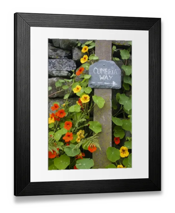 Framed Print : England, Cumbria, Gawthwaite Framed Print : England, Cumbria, Gawthwaite