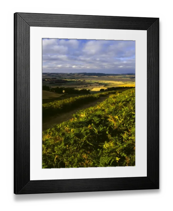Framed Print : ENGLAND, Northumberland, Northumberland National Park