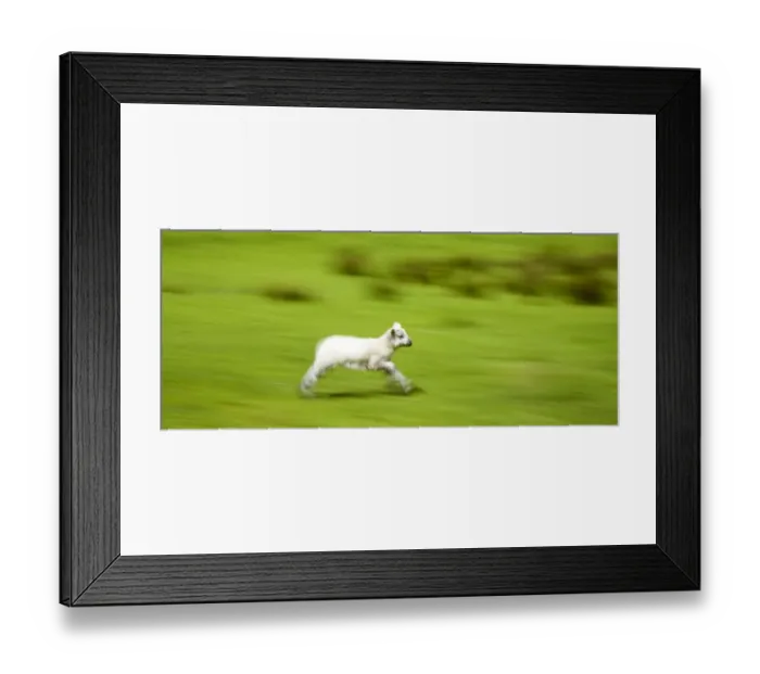 Framed Print : England, Cumbria, The Lake District National Park