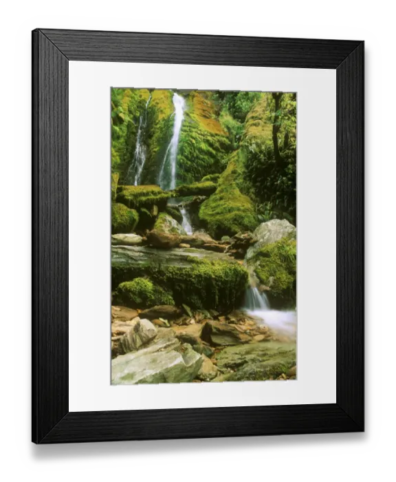 Framed Print : NEW ZEALAND, Marlborough, Queen Charlotte Track
