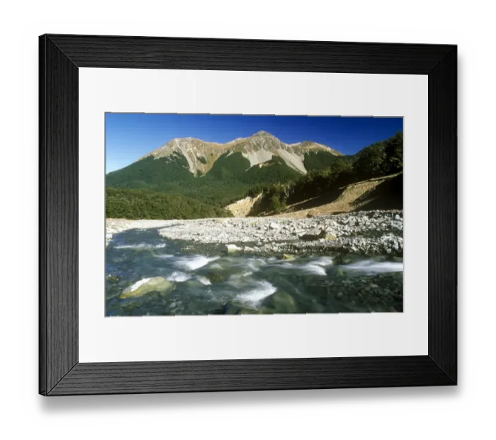 Framed Print : NEW ZEALAND, Canterbury, Craigieburn Forest Park