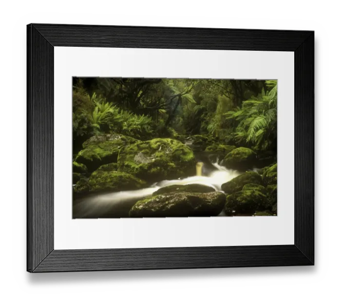 Framed Print : NEW ZEALAND, Stewart Island, Rakiura National Park