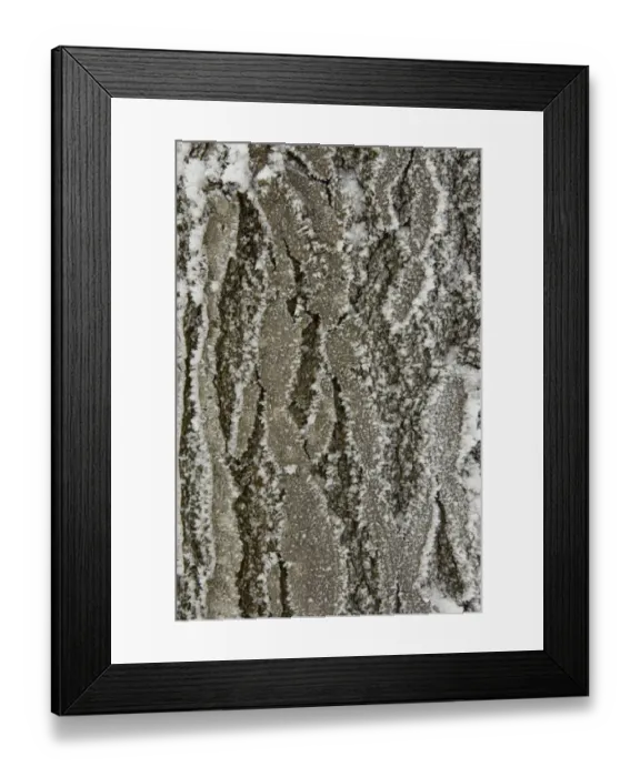 Framed Print : Norway, Oslo, Holmenkollen Framed Print : Norway, Oslo, Holmenkollen