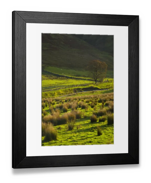 Framed Print : Scotland, Scottish Borders, Liddesdale