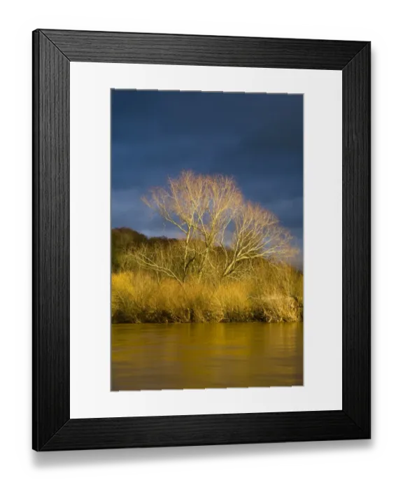 Framed Print : Scotland, Scottish Borders, Coldsteram Framed Print : Scotland, Scottish Borders, Coldsteram
