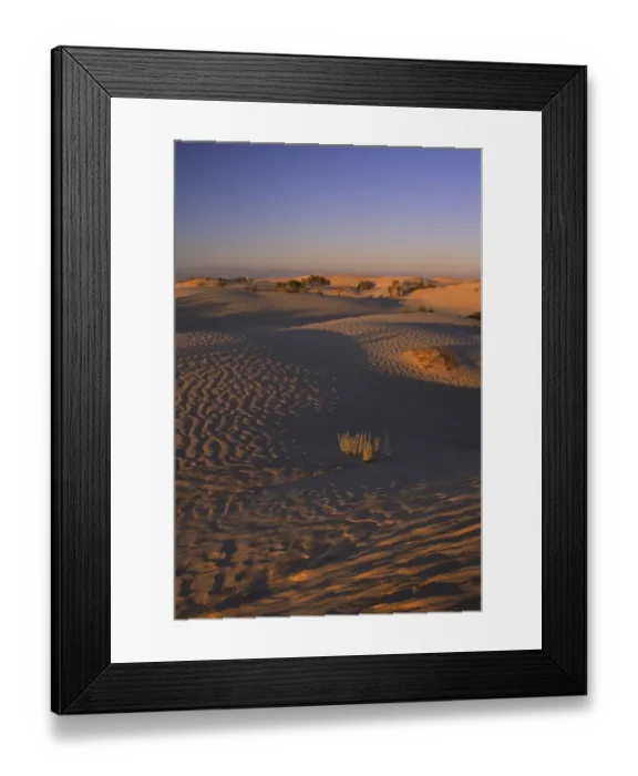 Framed Print : TUNISIA, Zaafrane, Sahara Desert