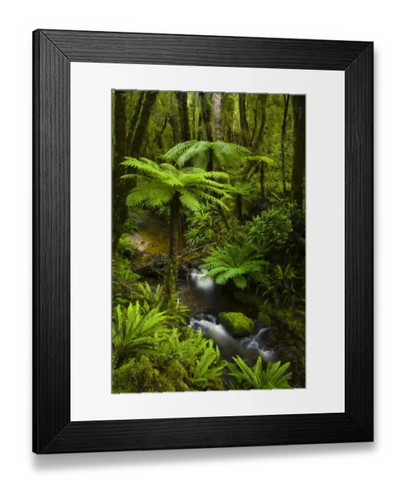 Framed Print : Tuatapere Hump Ridge Track, Southland, New Zealand Framed Print : Tuatapere Hump Ridge Track, Southland, New Zealand