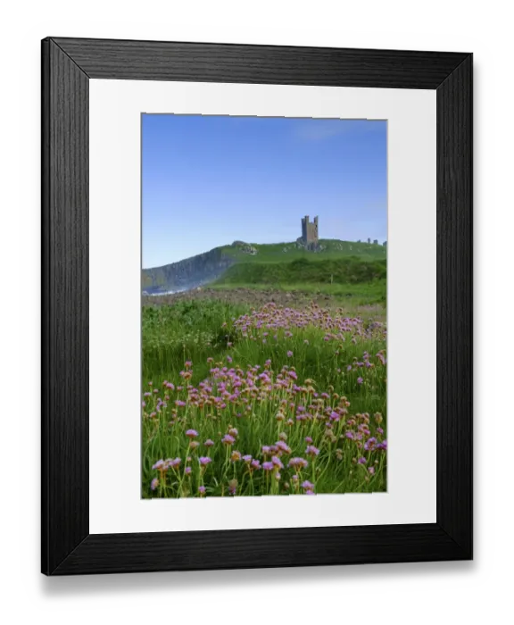 Framed Print : England, Northumberland, Embleton