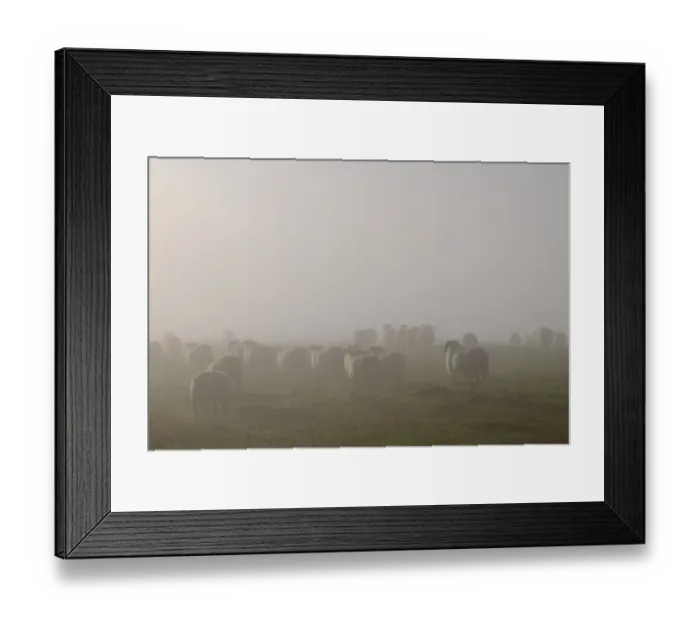 Framed Print : England, Northumberland, Bellingham