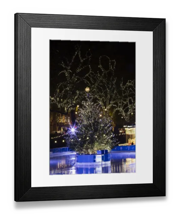 Framed Print : England, London, The Royal Borough of Kensington and Chelsea, Natural History Museum