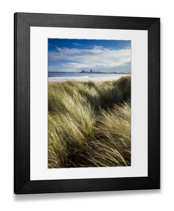 Framed Print : England, Middlesbrough, Teesmouth NNR
