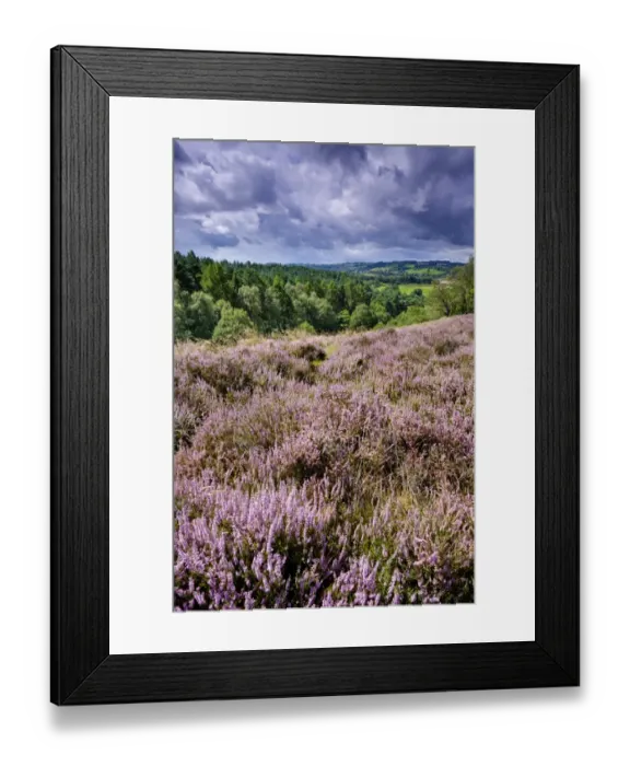 Framed Print : England, Staffordshire  /  Worcestershire, Kinver Edge