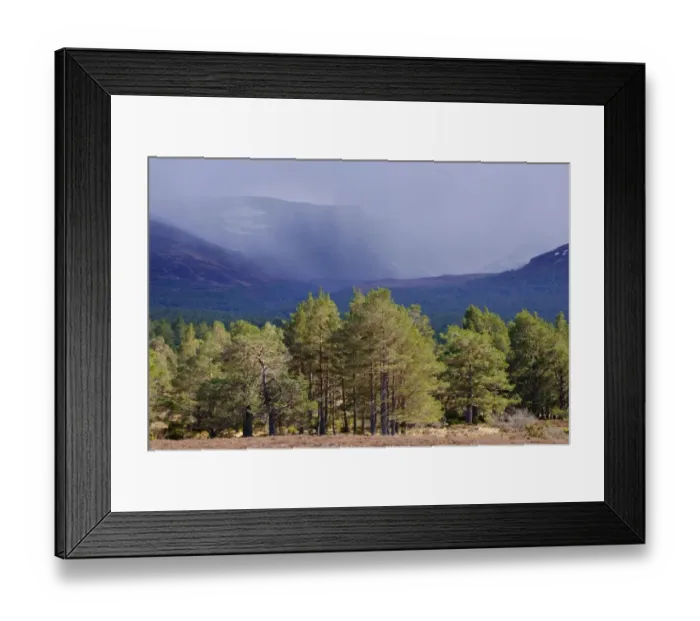 Framed Print : Scotland, Scottish Highlands, Cairngorms National Park