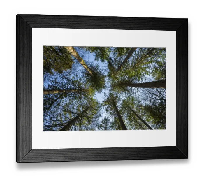 Framed Print : Scotland, Scottish Highlands, Cairngorms National Park