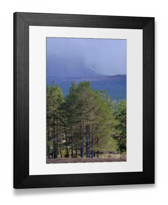 Framed Print : Scotland, Scottish Highlands, Cairngorms National Park Framed Print : Scotland, Scottish Highlands, Cairngorms National Park