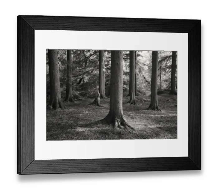 Framed Print : Wales, Gwynedd, Snowdonia National Park