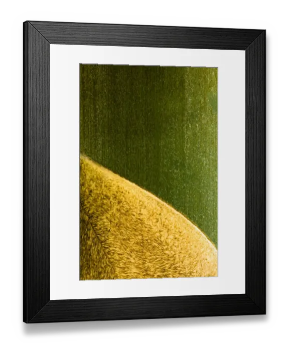 Framed Print : Sabah Malaysia, Borneo, Kinabalu National Park. Abstract view of Bamboo plant Framed Print : Sabah Malaysia, Borneo, Kinabalu National Park. Abstract view of Bamboo plant