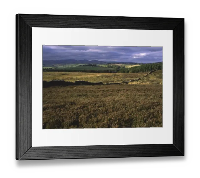 Framed Print : ENGLAND, Northumberland, Rothbury. The open moorland of the Rothbury Terraces a popular spot for local Framed Print : ENGLAND, Northumberland, Rothbury. The open moorland of the Rothbury Terraces a popular spot for local