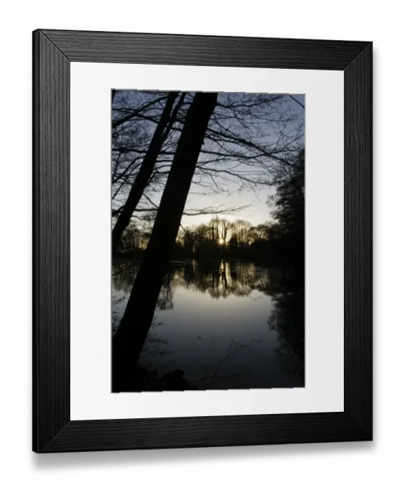 Framed Print : ENGLAND West Midlands Baggeridge Country Park A winter sunset behind the tree clad banks of one of
