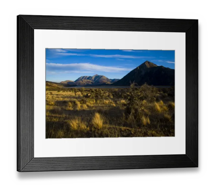Framed Print : New Zealand, Canterbury, Arthurs Pass National Park. Native bush growing on the Waimakariri River flats, surrounded by the peaks of Framed Print : New Zealand, Canterbury, Arthurs Pass National Park. Native bush growing on the Waimakariri River flats, surrounded by the peaks of