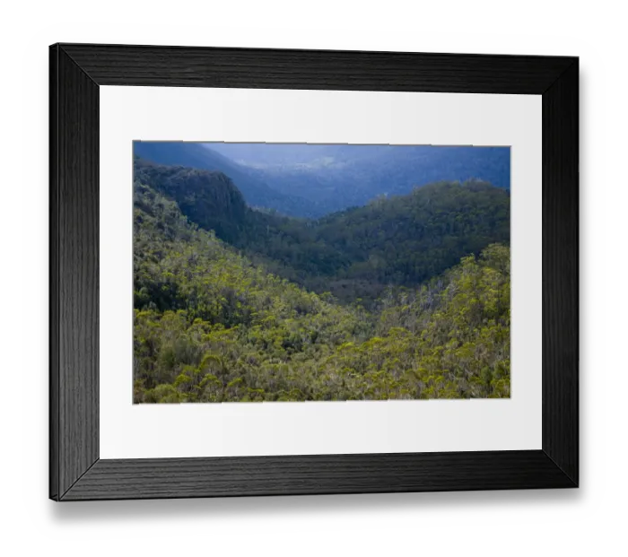 Framed Print : Australia, Tasmania, Cradle Mt - Lake St Clair National Park. Dense woodland in the Forth River Valley, viewed from a viewpoint on