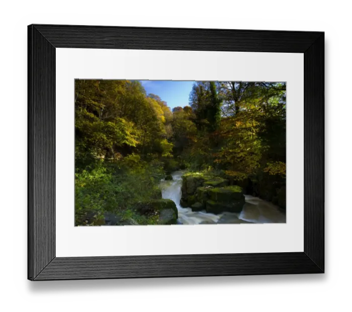 Framed Print : England, Tyne & Wear, Newcastle Upon Tyne. The Ouseburn flowing through autumnal woodland in Jesmond Framed Print : England, Tyne & Wear, Newcastle Upon Tyne. The Ouseburn flowing through autumnal woodland in Jesmond