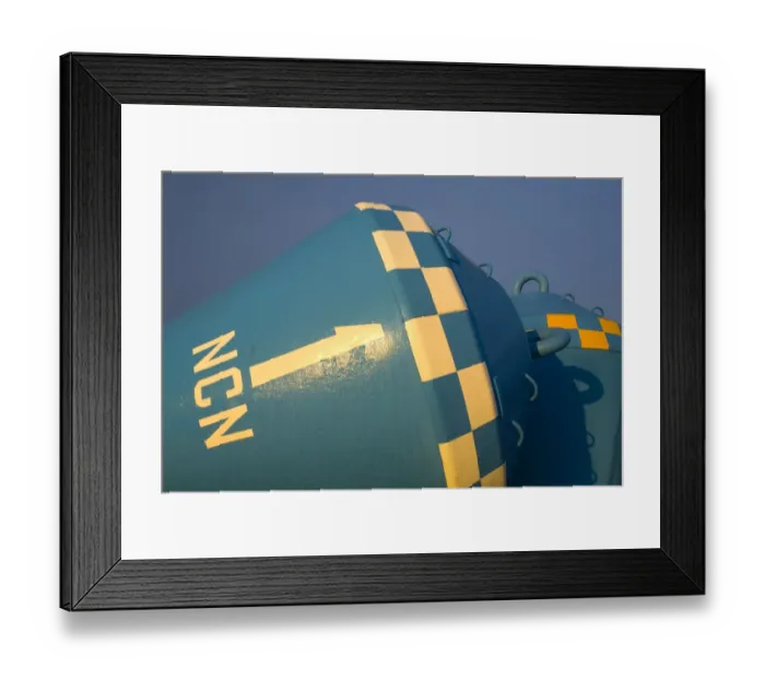 Framed Print : England, Tyne & Wear, North Shields. Sea buoy located near the mouth of the Tyne