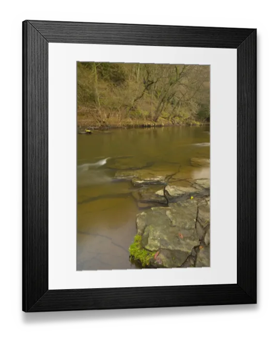 Framed Print : England, Tyne & Wear, Derwent Walk Country Park. The River Derwent running through Snipes Dene Wood