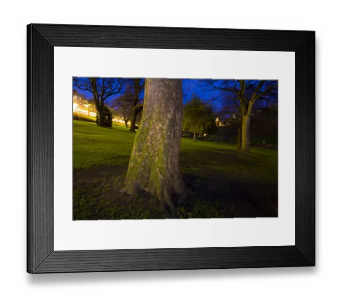 Framed Print : Scotland, Edinburgh, Princes Street. Princes Street Gardens were created in the 1820s when the Nor Loch