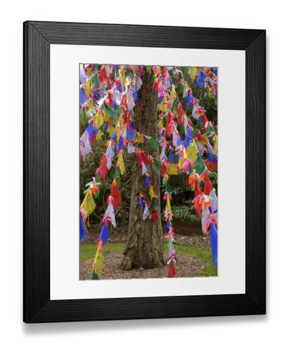 Framed Print : Scotland, Edinburgh, Royal Botanic Garden Edinburgh Framed Print : Scotland, Edinburgh, Royal Botanic Garden Edinburgh