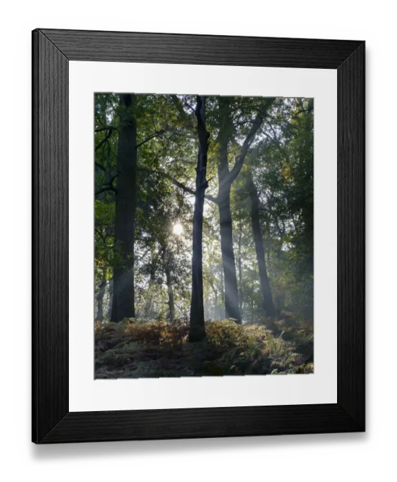 Framed Print : England, Cumbria, Lake District National Park