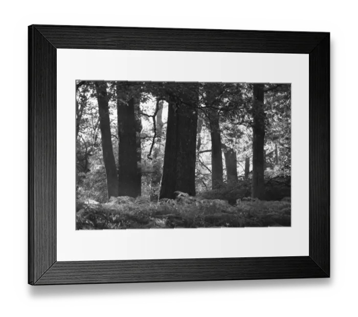 Framed Print : England, Cumbria, Lake District National Park Framed Print : England, Cumbria, Lake District National Park