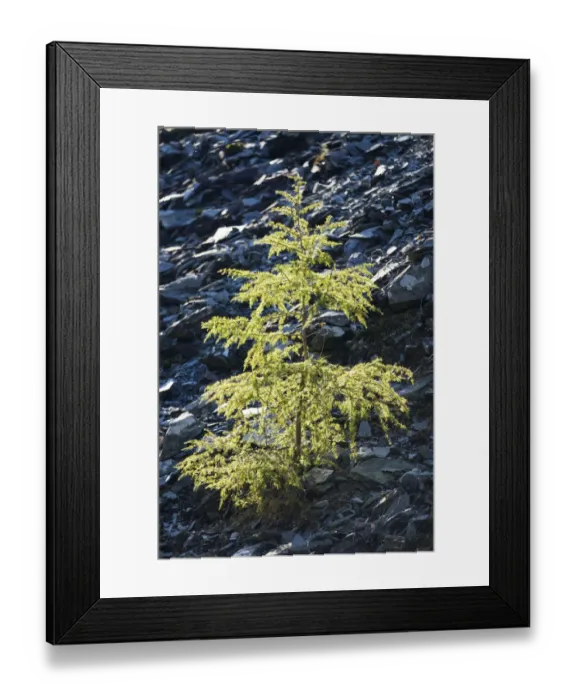 Framed Print : England, Cumbria, Lake District National Park