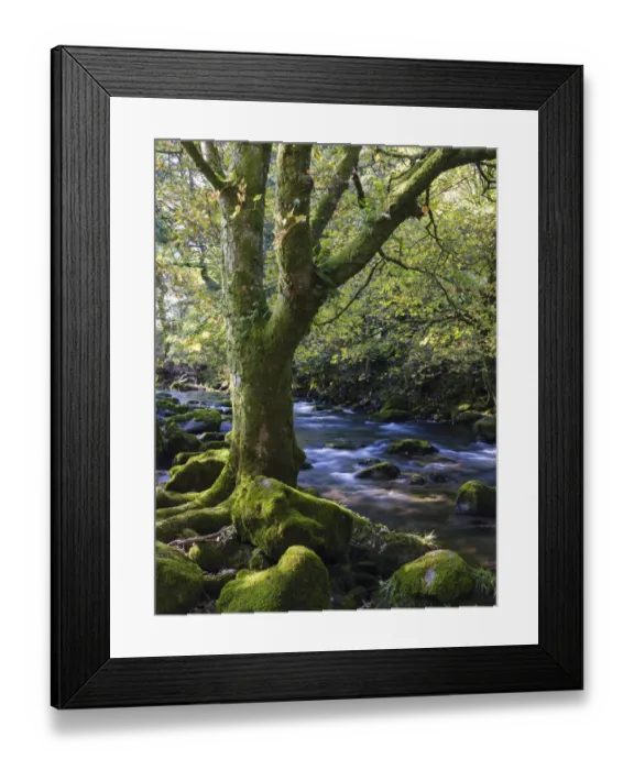 Framed Print : England, Cumbria, Lake District National Park