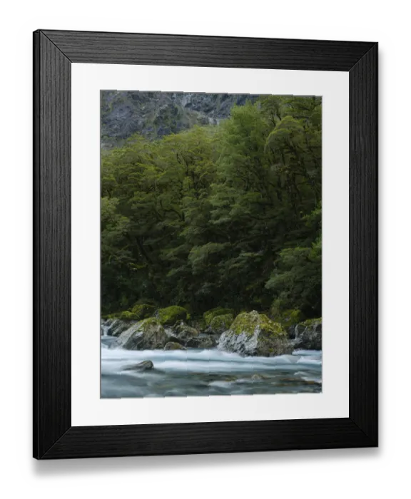 Framed Print : New Zealand, South Island, Fiordland National Park Framed Print : New Zealand, South Island, Fiordland National Park