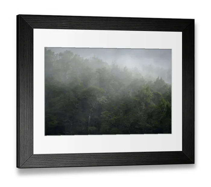 Framed Print : New Zealand, South Island, Fiordland National Park Framed Print : New Zealand, South Island, Fiordland National Park