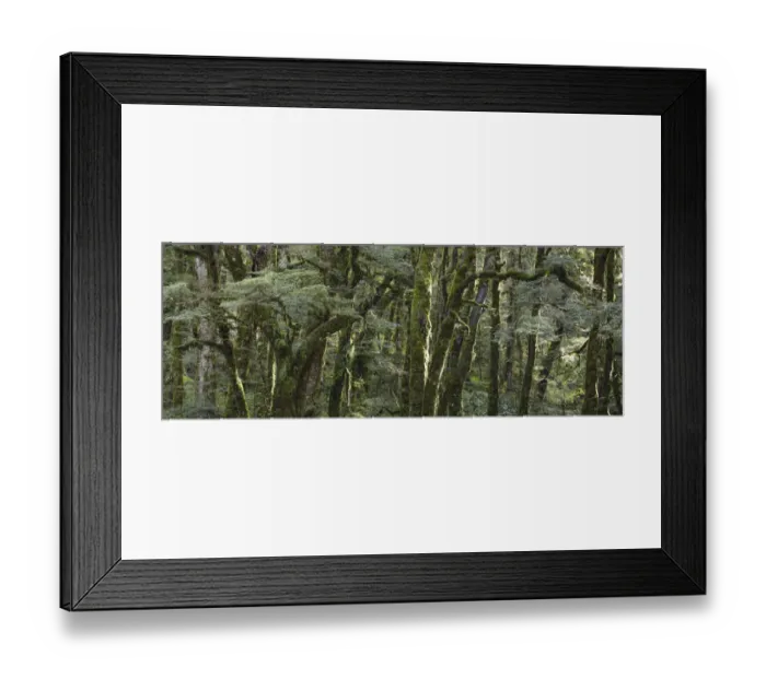Framed Print : New Zealand, South Island, Mount Aspiring National Park Framed Print : New Zealand, South Island, Mount Aspiring National Park