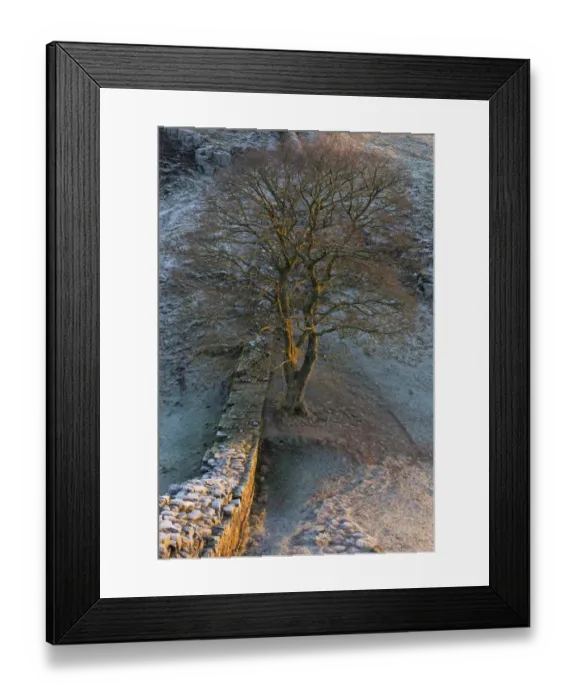 Framed Print : England, Northumberland, Hadrians Wall