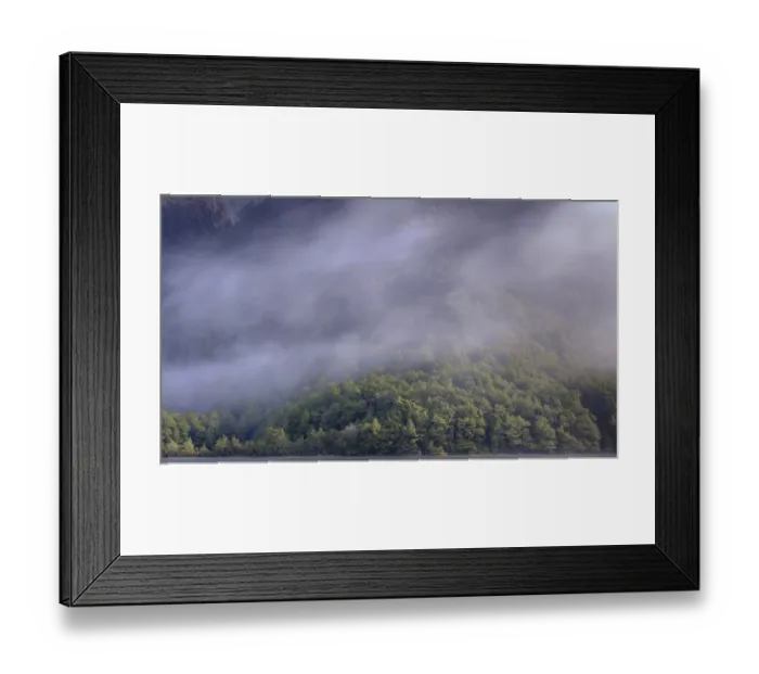 Framed Print : New Zealand, South Island, Fiordland National Park Framed Print : New Zealand, South Island, Fiordland National Park
