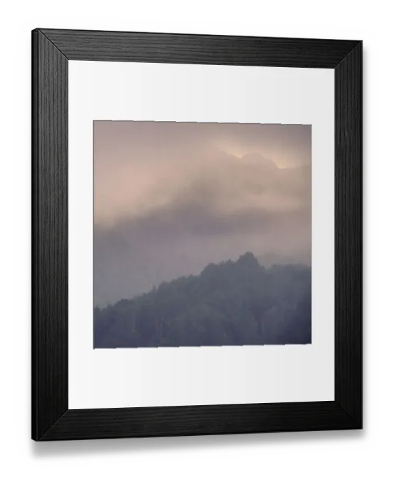 Framed Print : New Zealand, South Island, Fiordland National Park Framed Print : New Zealand, South Island, Fiordland National Park