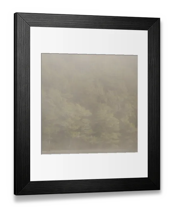 Framed Print : New Zealand, South Island, Fiordland National Park Framed Print : New Zealand, South Island, Fiordland National Park