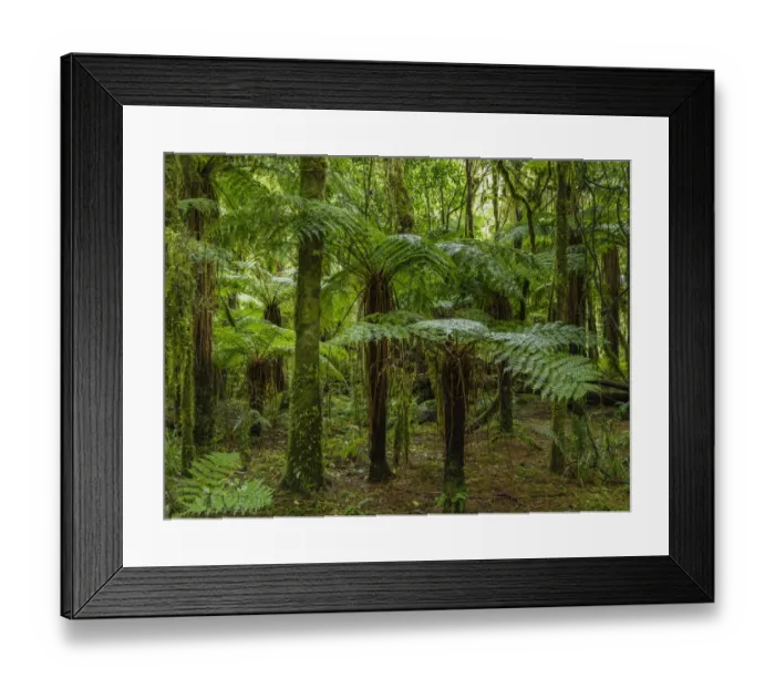 Framed Print : New Zealand, South Island, Mount Aspiring National Park