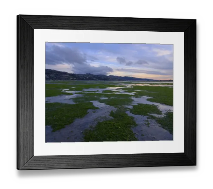 Framed Print : New Zealand, Christchurch, New South Brighton Framed Print : New Zealand, Christchurch, New South Brighton