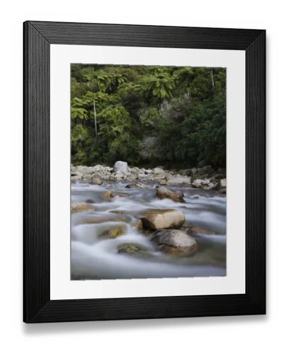Framed Print : New Zealand, Nelson & Marlborough, Abel Tasman National Park Framed Print : New Zealand, Nelson & Marlborough, Abel Tasman National Park