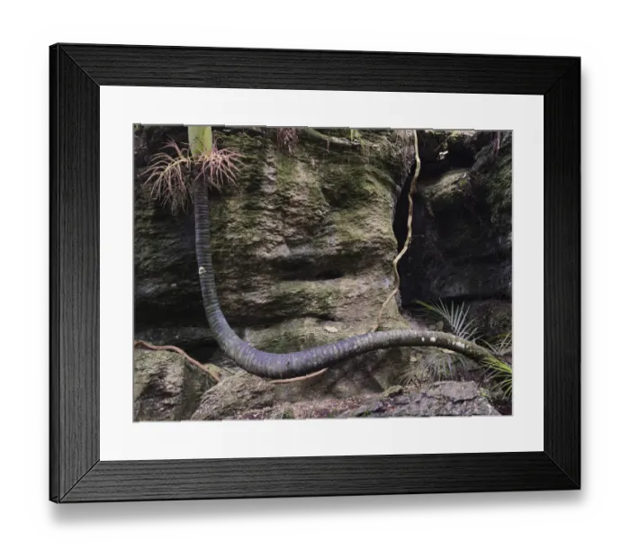 Framed Print : New Zealand, Nelson & Marlborough, Golden Bay Framed Print : New Zealand, Nelson & Marlborough, Golden Bay
