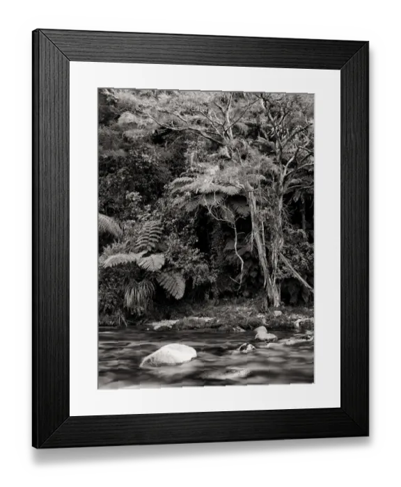 Framed Print : New Zealand, Nelson & Marlborough, Abel Tasman National Park Framed Print : New Zealand, Nelson & Marlborough, Abel Tasman National Park